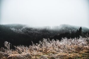 Ösvények a természetfotózás szerelmeseinek