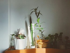 Mikro-sikerélmények gyűjtése naponta