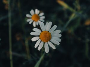 Reggeli mantra – Napindító önmegerősítések