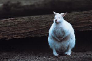 Erdei meditációs helyek felfedezése