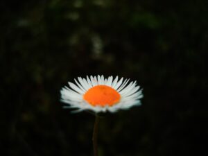 Reggeli mantra – napindító önmegerősítések