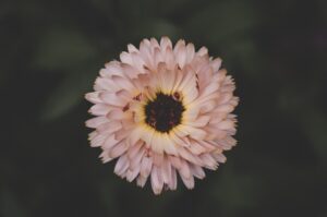 Reggeli mantra – napindító önmegerősítések