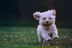 Relatív boldogság – hogyan ne másokhoz mérjük?