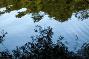 Heti reflektáló napló – 3 kérdés, 3 válasz