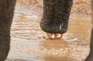 Mennyire vagy hidratált? – Jelek, amikre figyelj