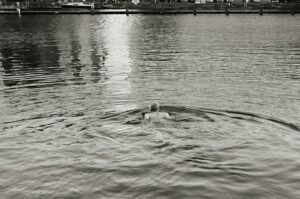 A reggeli mozgás és az anyagcsere kapcsolata