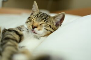 5 perces esti rutin, hogy nyugodtabban aludj