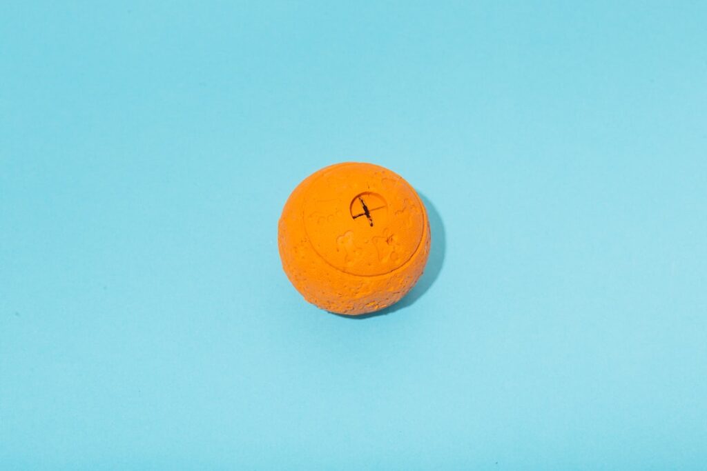 Kreatív játékok kutyáknak házilag