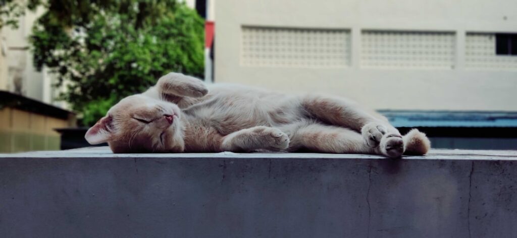 A fáradtság kezdete – Az emberi test láthatatlan folyamatai