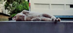 A fáradtság kezdete – Az emberi test láthatatlan folyamatai