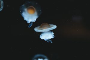 Hogyan használd ki az ágy alatti helyet?