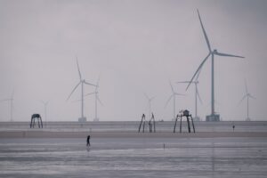 A szél láthatatlan tánca – érzékelhető erő, láthatatlan forma